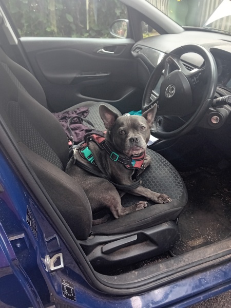 The support thread for anyone trying to lead an alcohol free life.