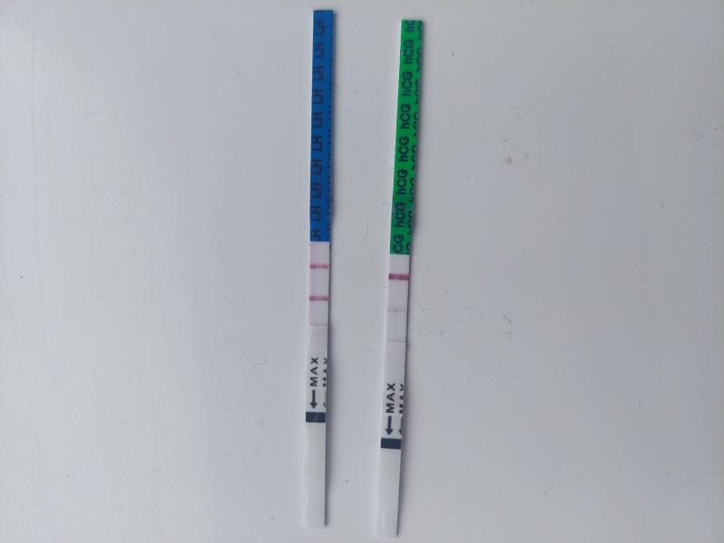 Ovulation post miscarriage... help please!