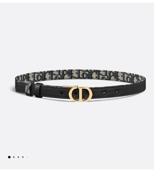 Gucci bag and Dior belt advice  please