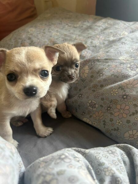 What’s my name? CUTE PHOTO INCLUDED!