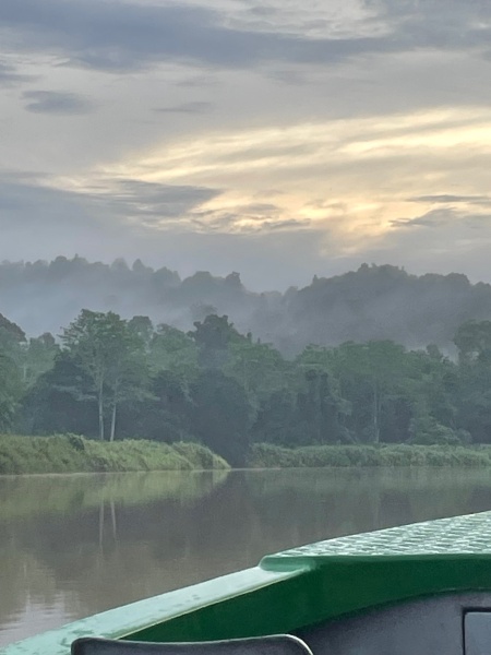 Come and tell me your dull and unexciting news 30: Calmly through the day