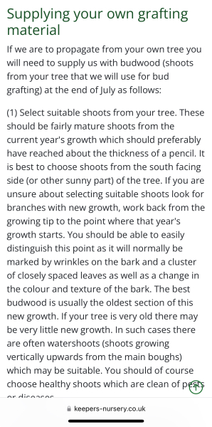 How do I take a cutting from an apple tree