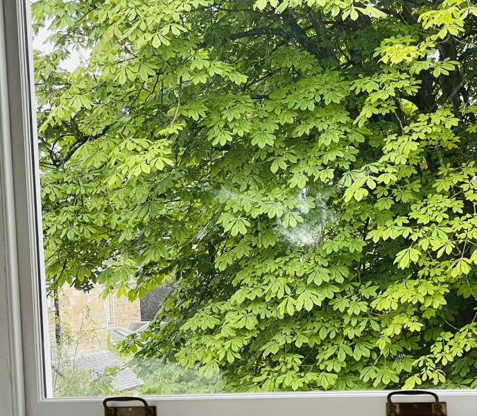 Thread 53 Sunak: Superminority!