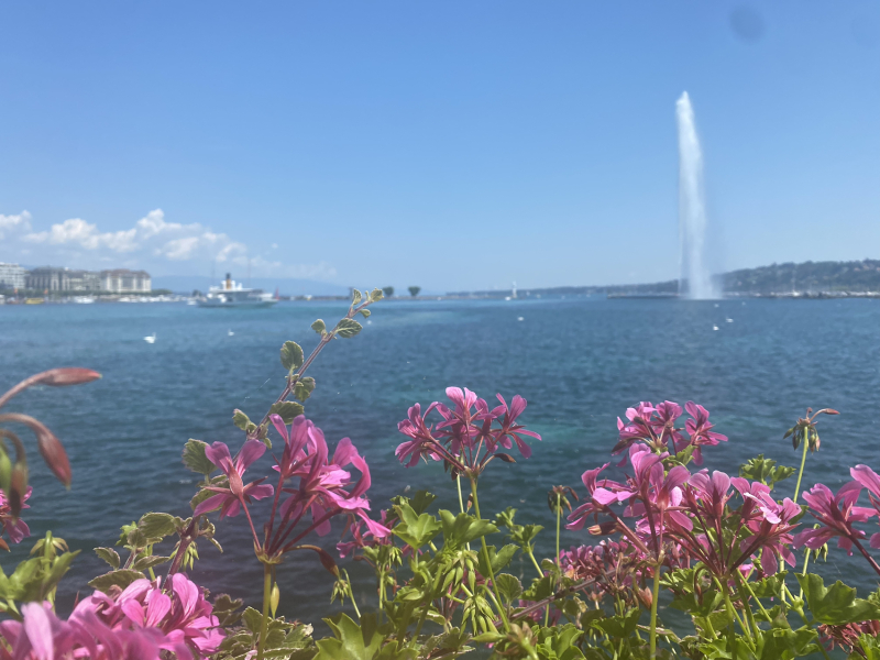 The Saxenda Sisterhood 