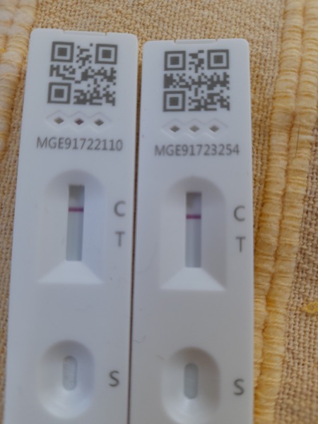 Do you think these tests are covid positive?