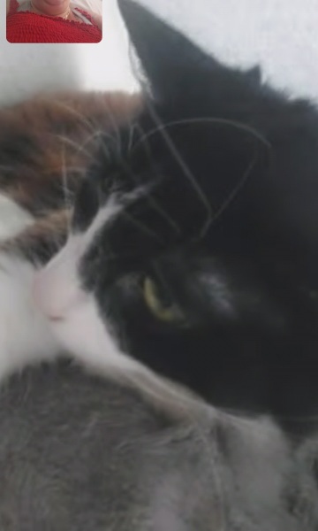 Thread 1 Starmer: A New Hope