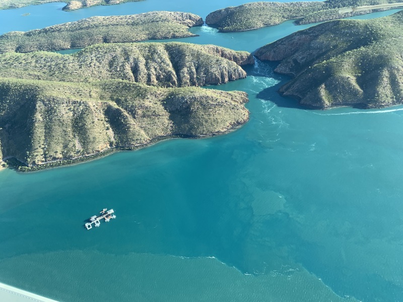 Week 8 - May '24 Low Carb Bootcamp - one last week!