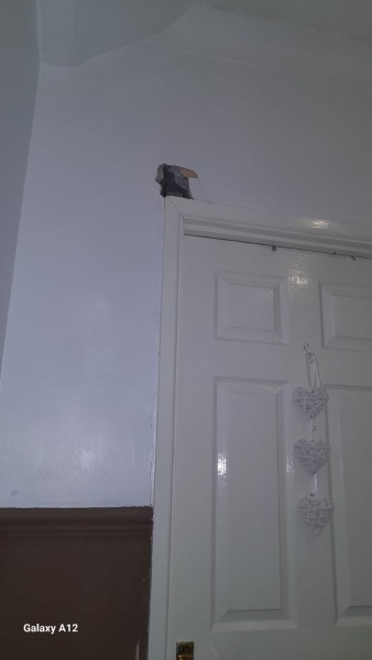 Old terrace house - what is this on the wall?