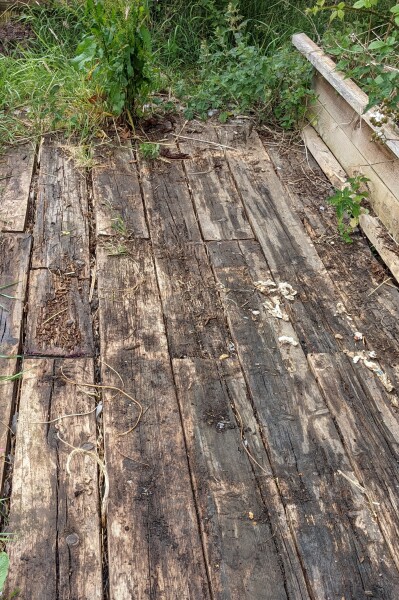 New allotment - any advice?