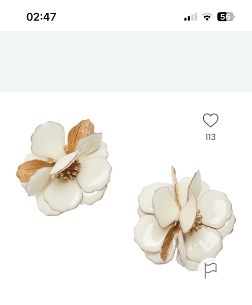 Zara Earrings - Does Anyone Have This Pair