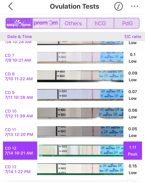 TTC July 2024 ✨♥️
