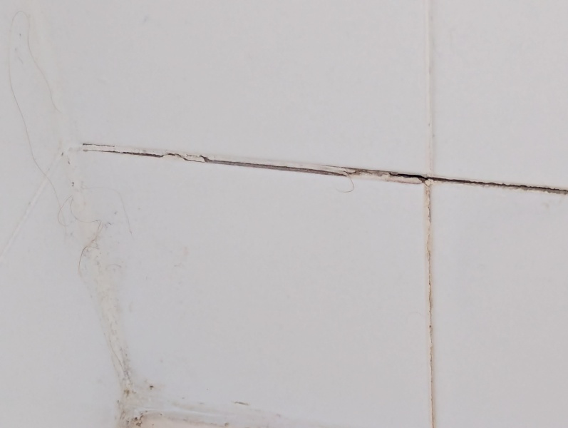 Temporary fix for tiles In shower cubicle