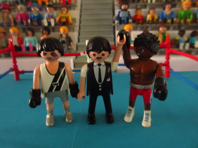It's time for the Olympic Games for the Playmobil people in our house...