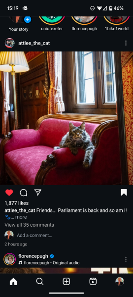 Who is Larry the cat’s family?
