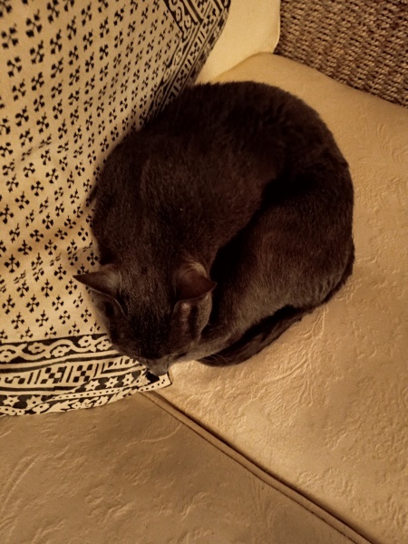 Thread 2. Starmer, return of the Labour government