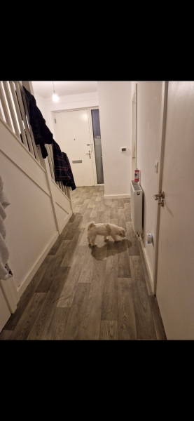 What can I do to my hall. Pics
