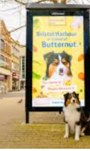 To ask which dog breed you think is most represented in the media?