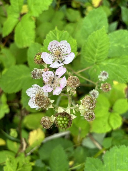 Come and tell me your dull and unexciting news 30: Calmly through the day