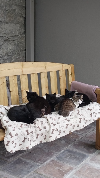 Do you have  . . . .   In your house ? Part two .