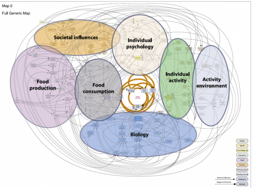 Labour should invest in weight loss medications immediately