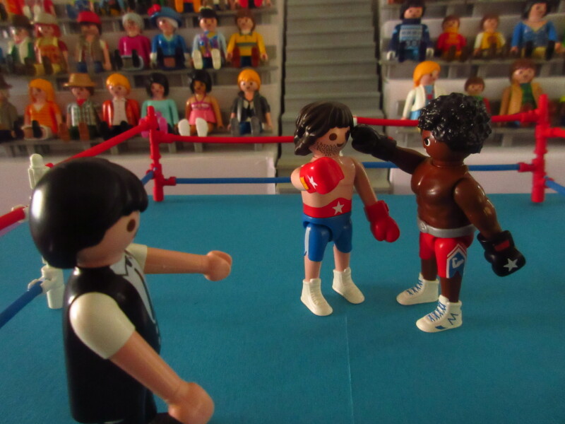 It's time for the Olympic Games for the Playmobil people in our house...