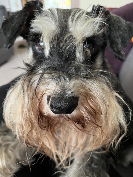 Thread 2. Starmer, return of the Labour government