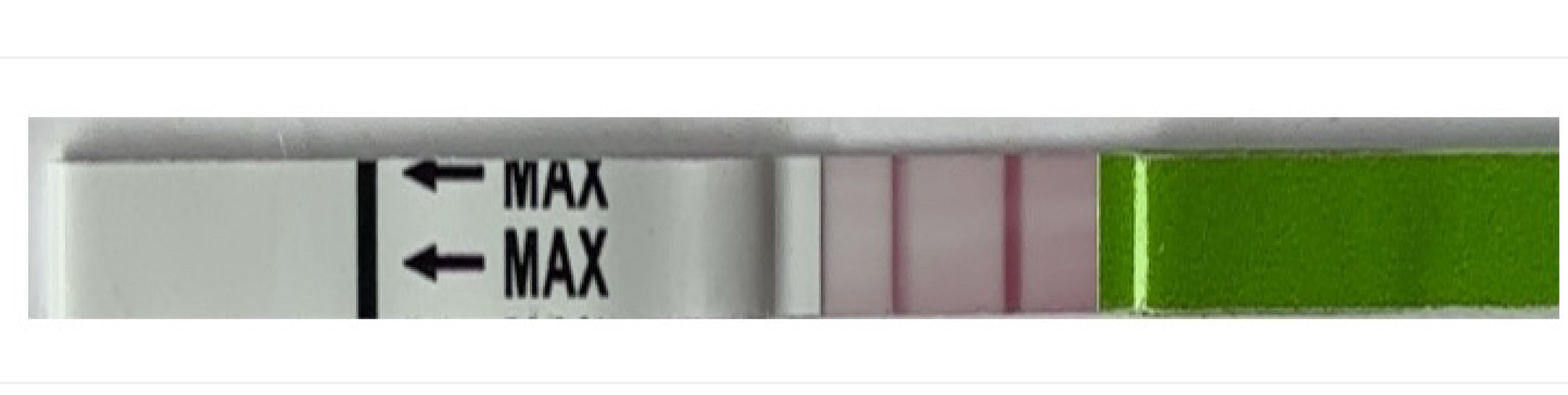 TTC July 2024 ✨♥️