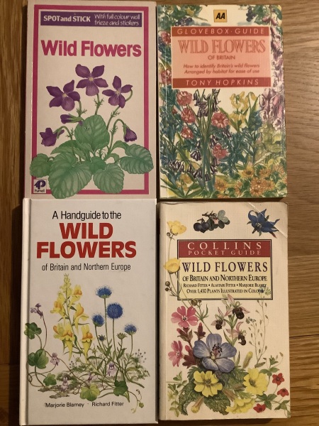 New to the world of plants...can anyone identify these for me?