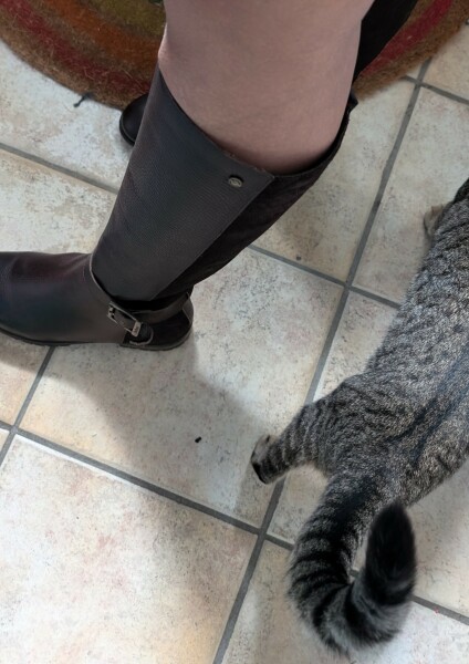 Continuing Mounjaro...part 16