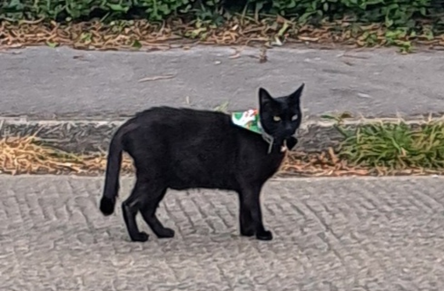 Thread 1 Starmer: A New Hope