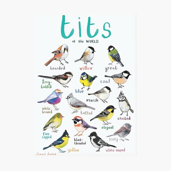 To not want to see t*ts on the beach??!