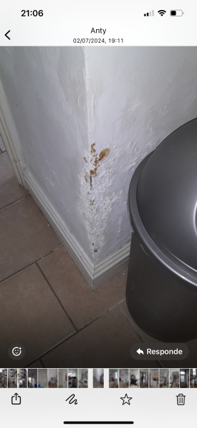 Old terrace house - what is this on the wall?