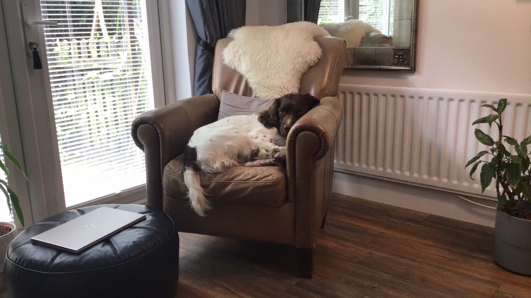 Thread 2. Starmer, return of the Labour government