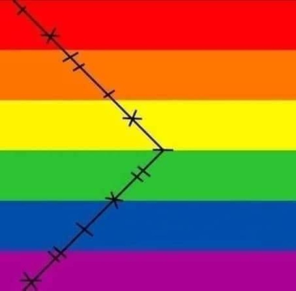 FFS disability is now on the pride flag