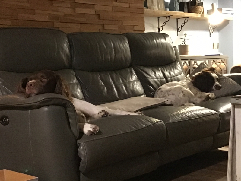 Thread 53 Sunak: Superminority!