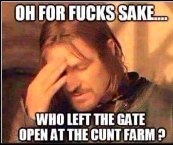 Thread 2. Starmer, return of the Labour government