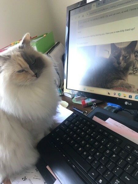Guess what he thinks is wrong with me....