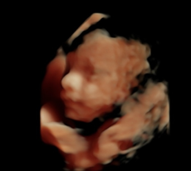 September 2024 - Thread 8!