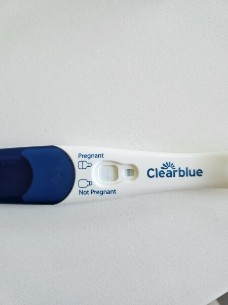 Is this an evap line or....?