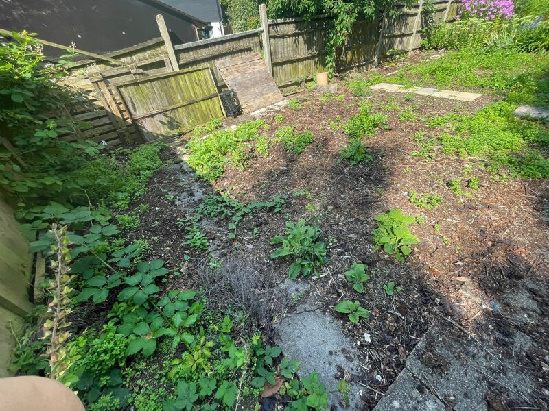 Help! No idea what to do.
