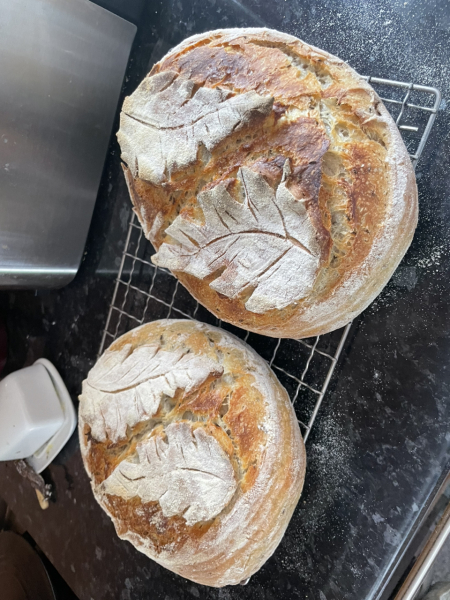 Brexit mega thread part 13: All eyes on Ireland