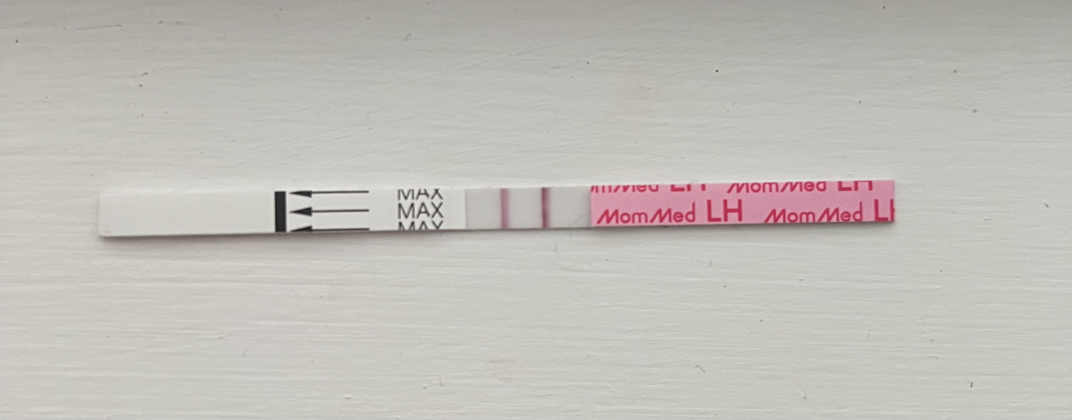 TTC July 2024 ✨♥️