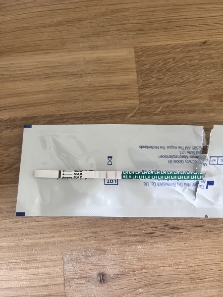 Is this opk positive?