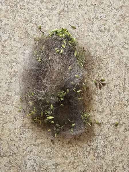 The One where TC moved to Scotland and joined the Excellent Cats