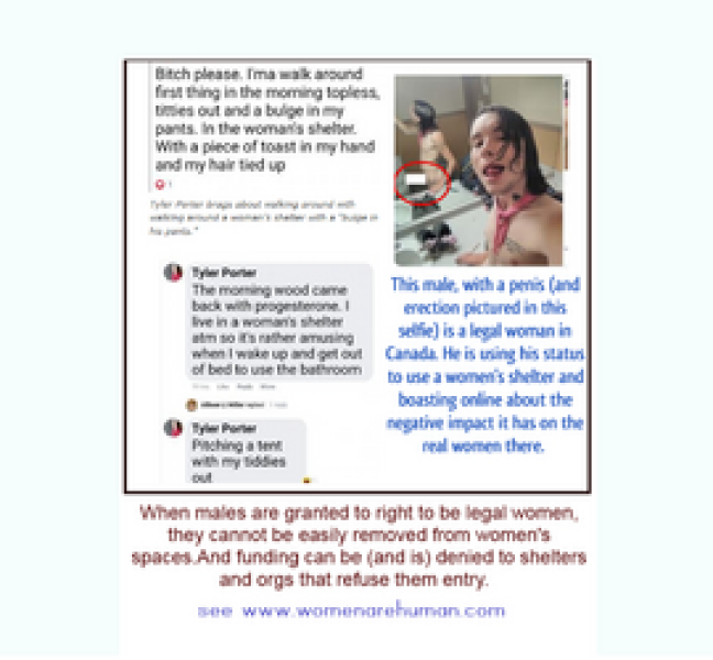 Thread 2 - Is anyone else on here pro-trans