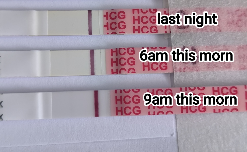 4dp5dt please tell me you can see this (possible bfp)