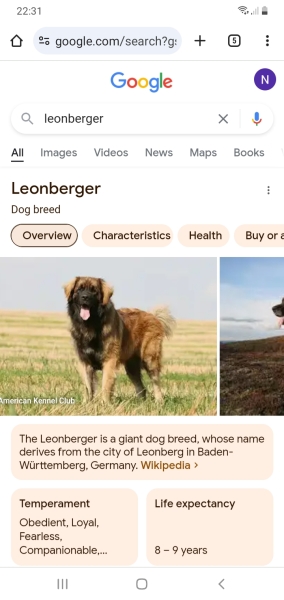 At loggerheads over dog