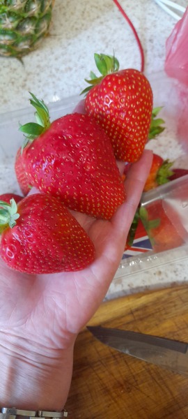 The happy Place Café is still open as is @Tillly's dog wash.