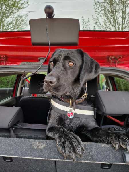 Share Your Dog Stories and Photos! 🐾 Chance to Win £100!