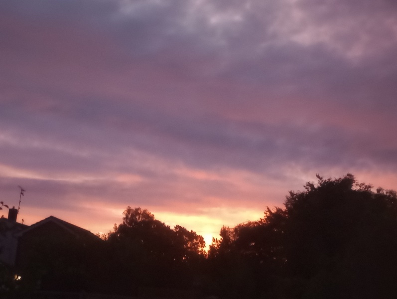 Thread 54 Sunak: On His Majesty's Secret Curtice., Polling Night Special